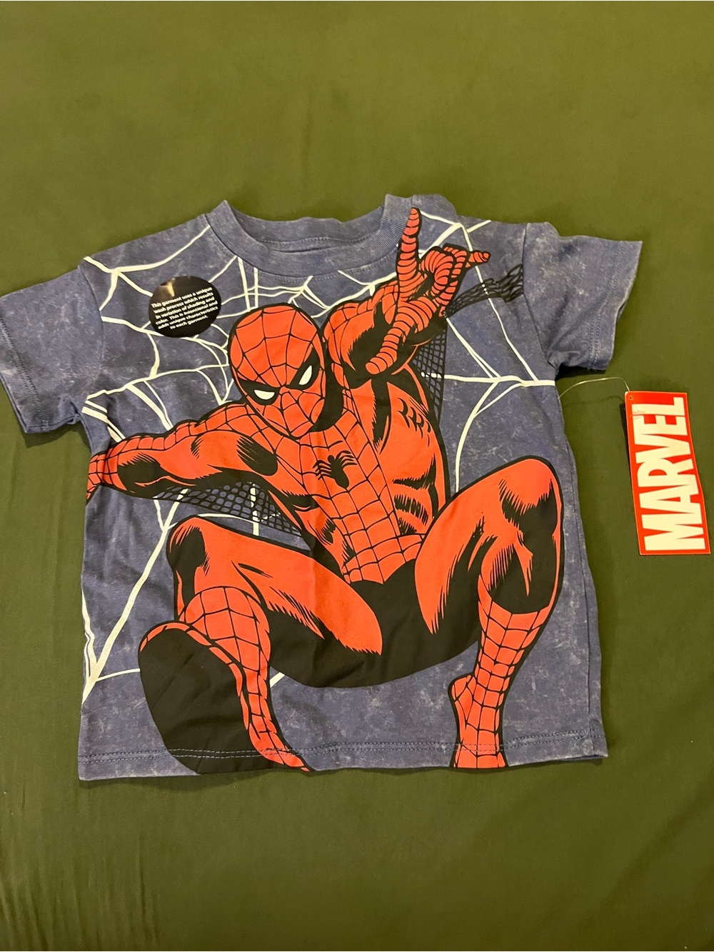 Spider-Man Graphic Tee in Blue and Red Size 2T